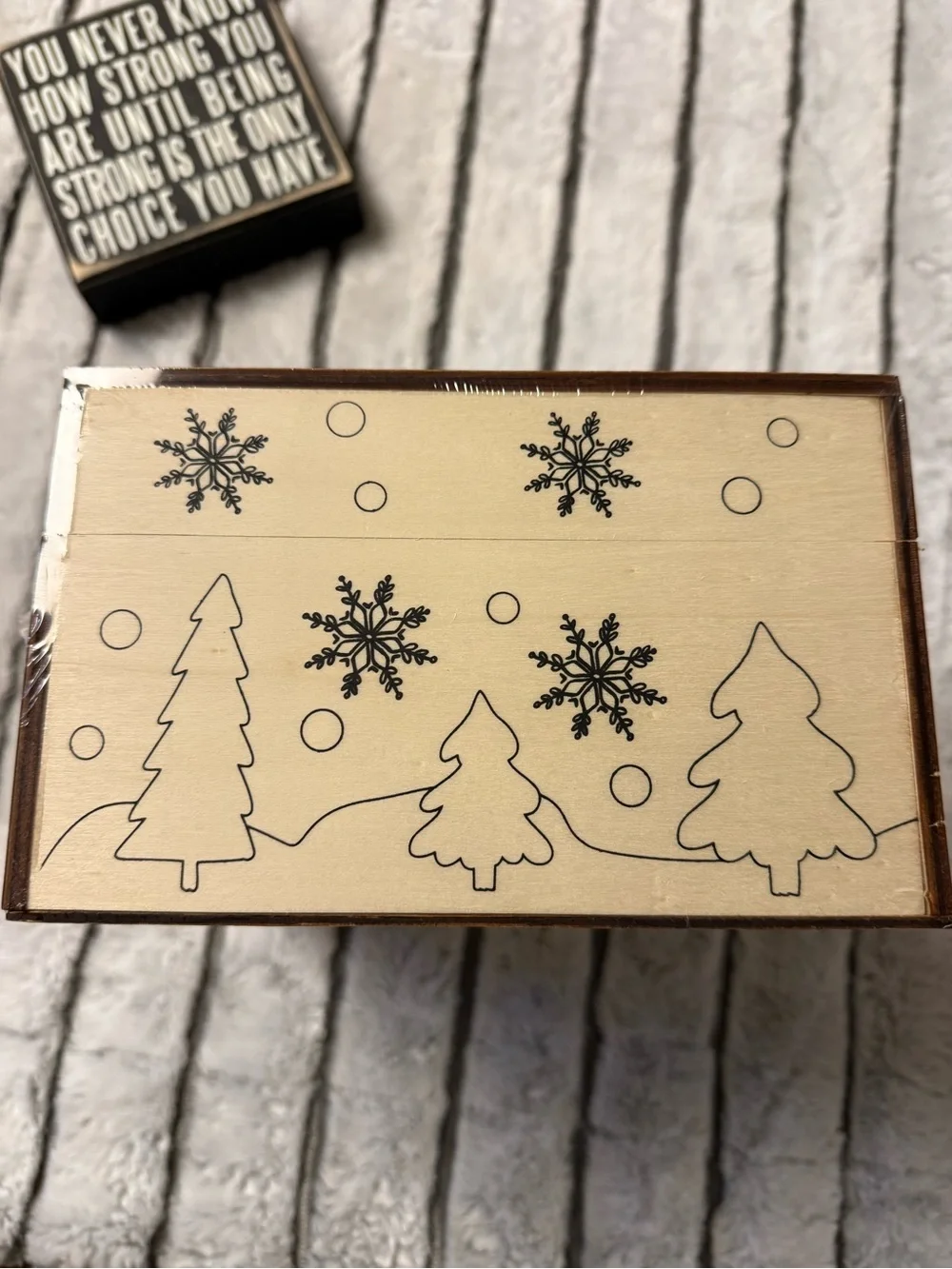 Creatology Christmas Color-In Box Kit Wooden Craft